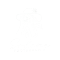 Logo de Solène photographe.